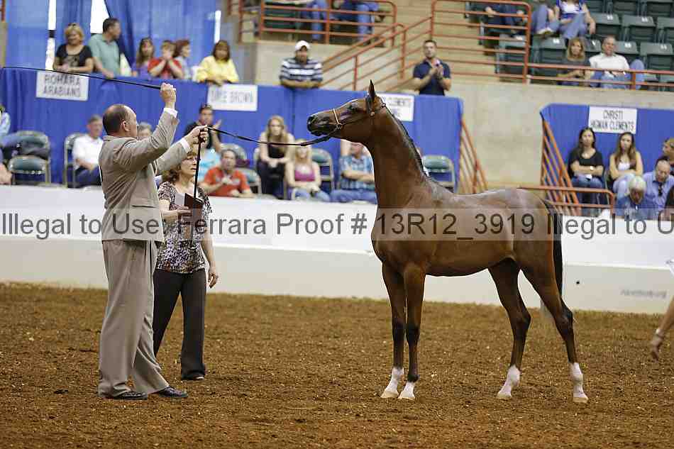 Proof Number 13r12_3919