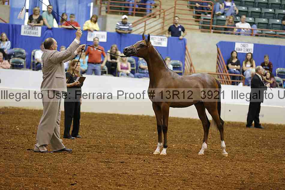 Proof Number 13r12_3921
