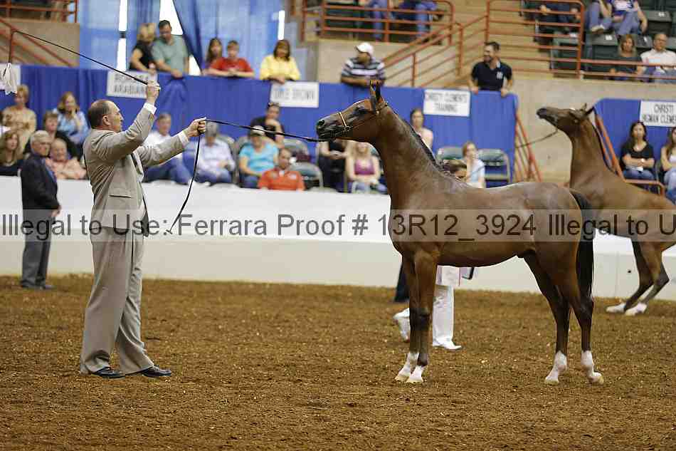 Proof Number 13r12_3924