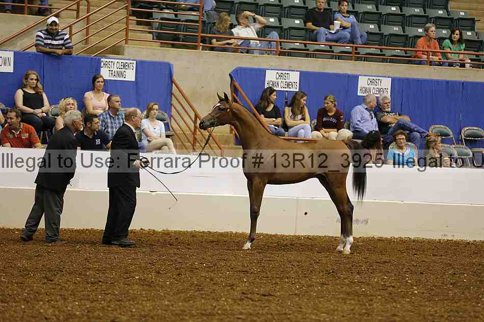 Proof Number 13r12_3925
