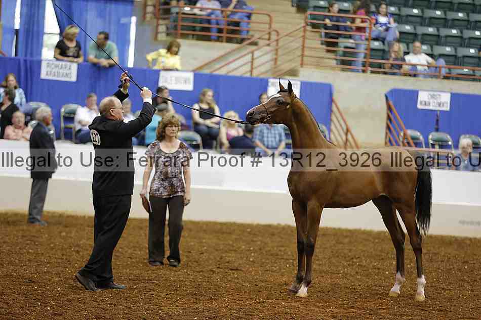 Proof Number 13r12_3926