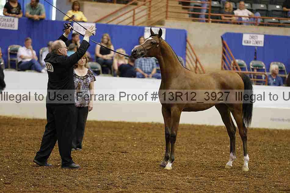 Proof Number 13r12_3927