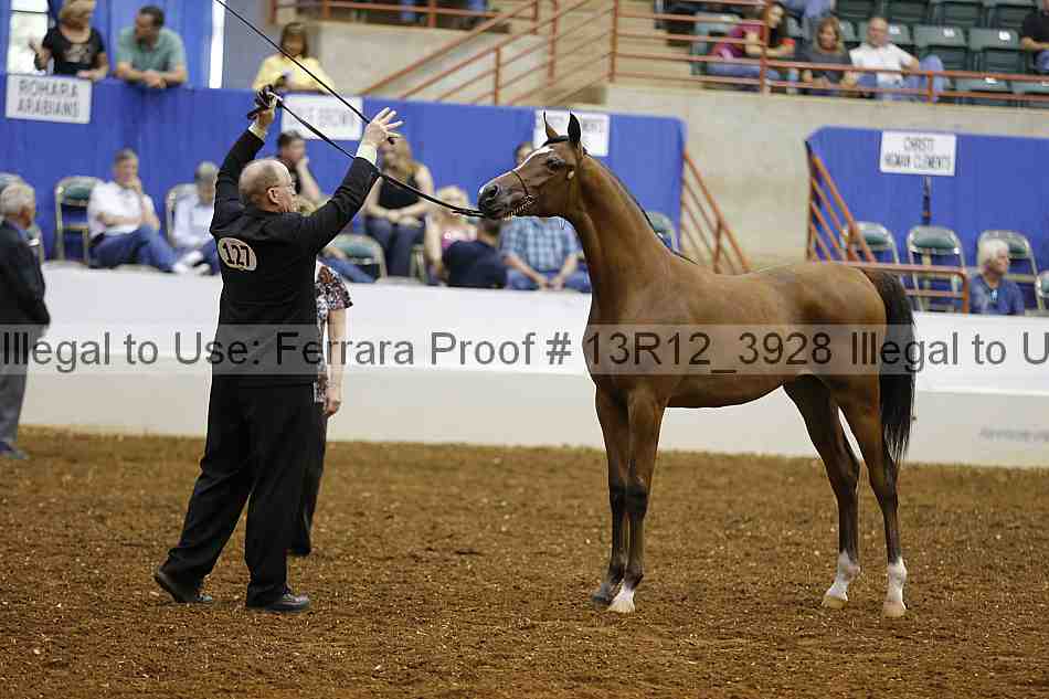 Proof Number 13r12_3928