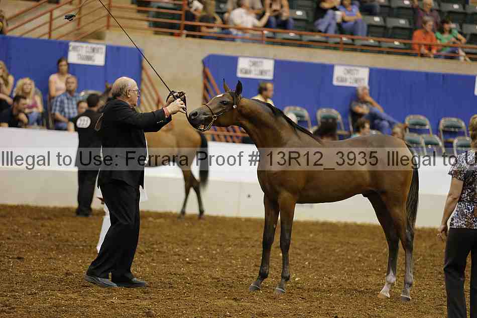 Proof Number 13r12_3935