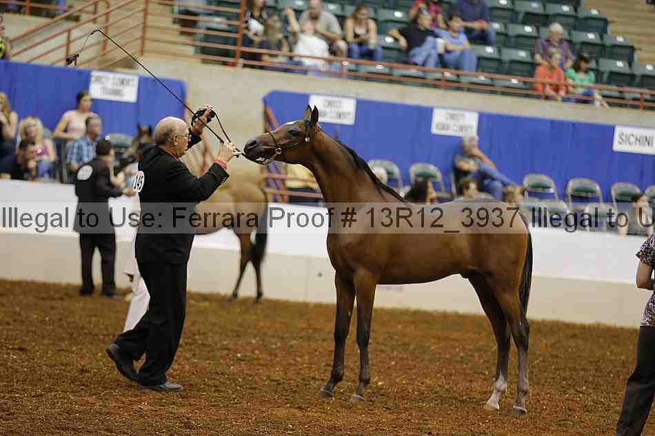 Proof Number 13r12_3937