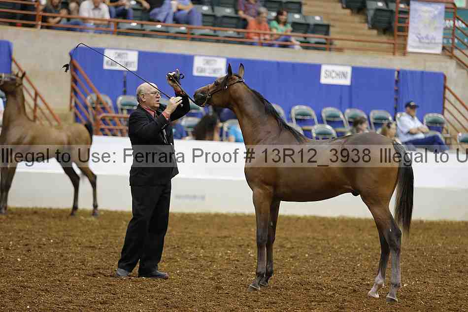 Proof Number 13r12_3938