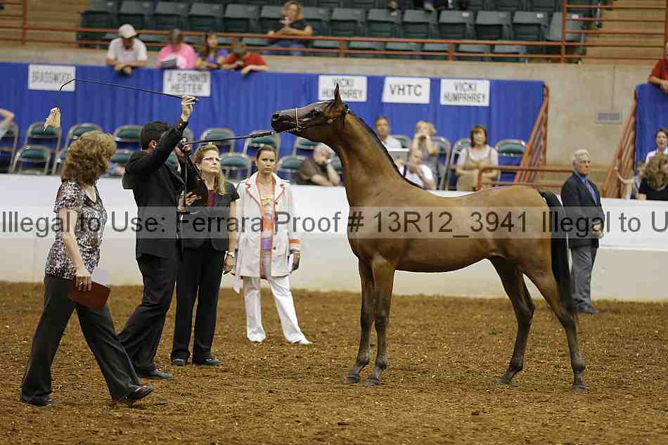 Proof Number 13r12_3941