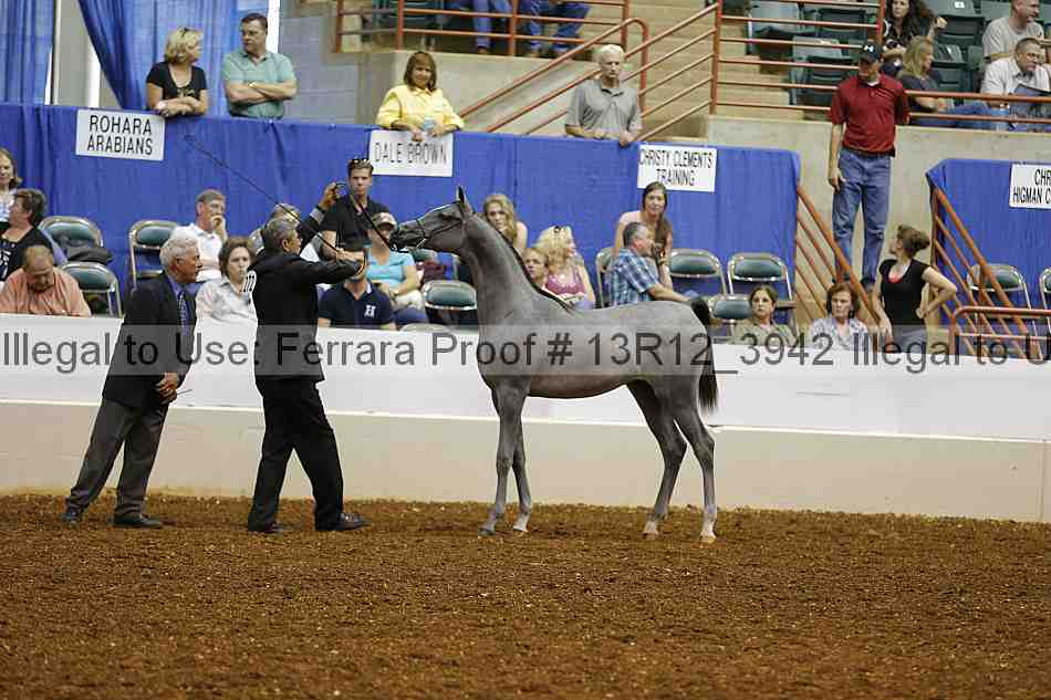 Proof Number 13r12_3942