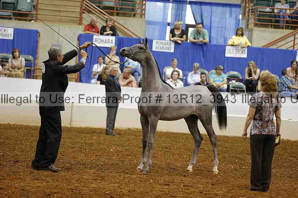 Proof Number 13r12_3943