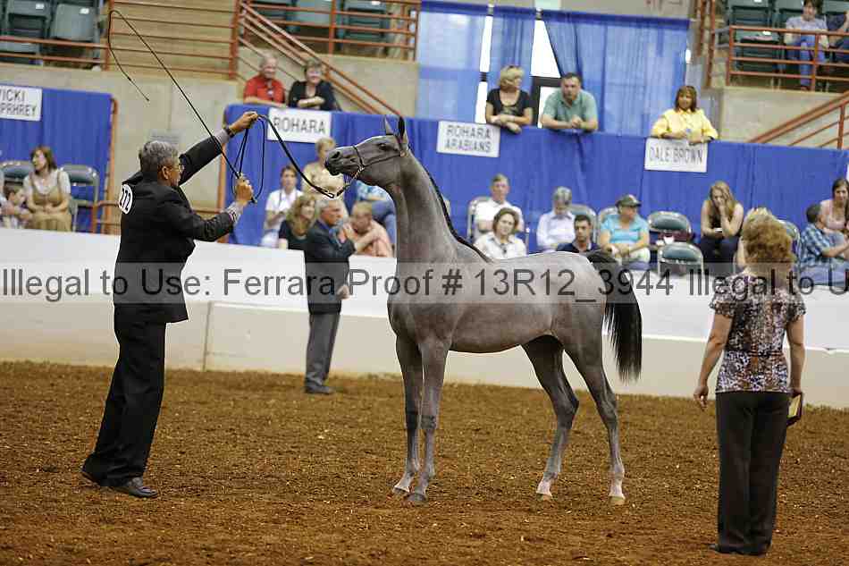 Proof Number 13r12_3944