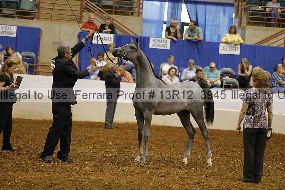 Proof Number 13r12_3945