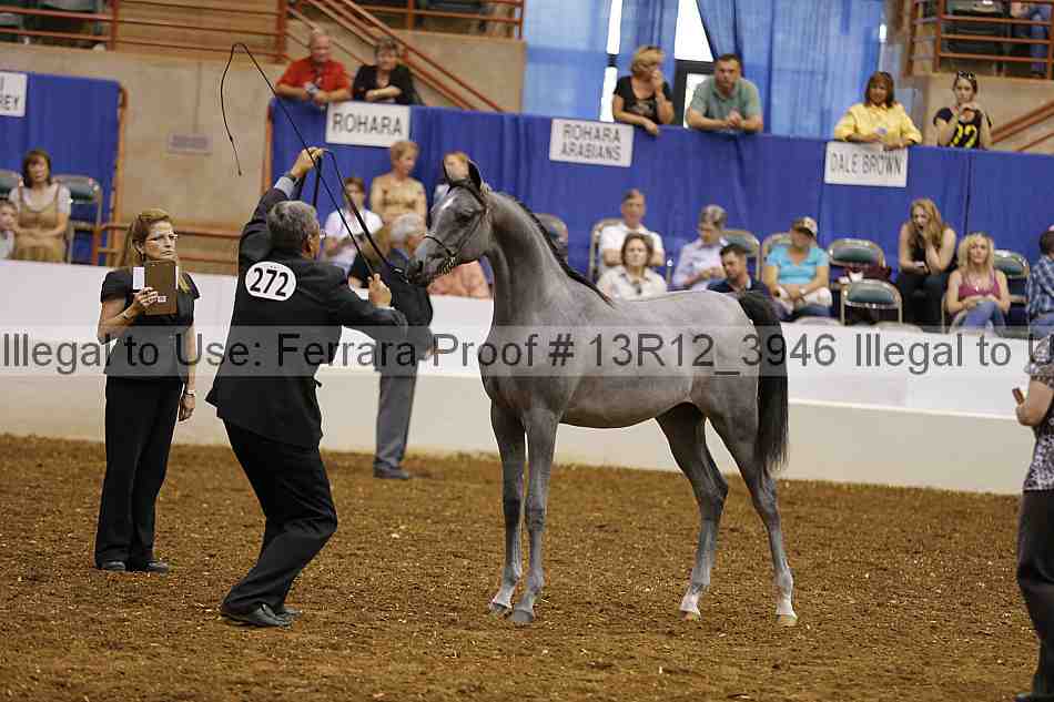 Proof Number 13r12_3946
