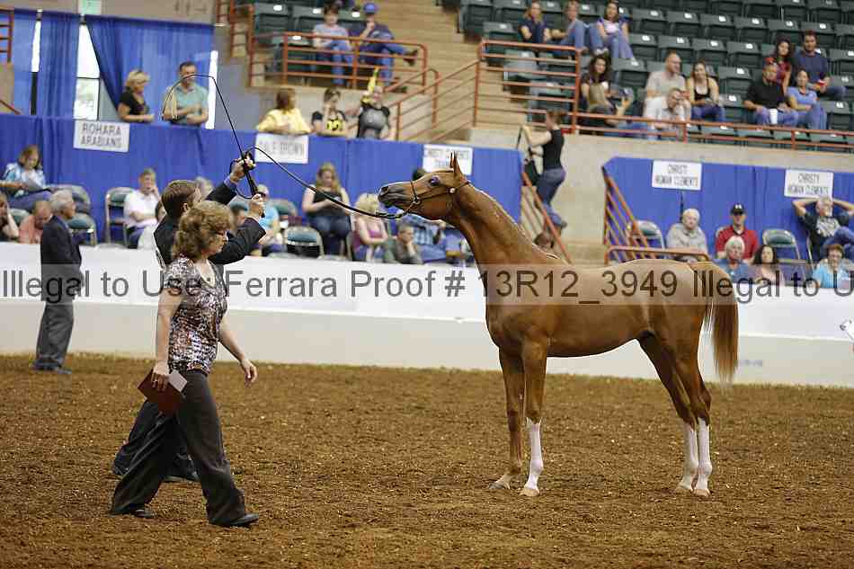 Proof Number 13r12_3949