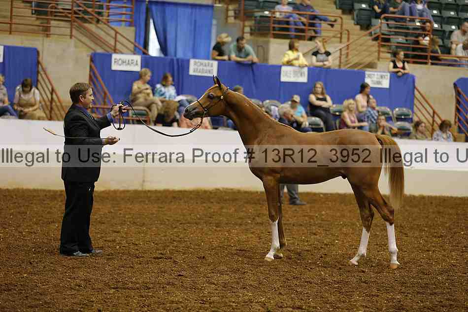 Proof Number 13r12_3952
