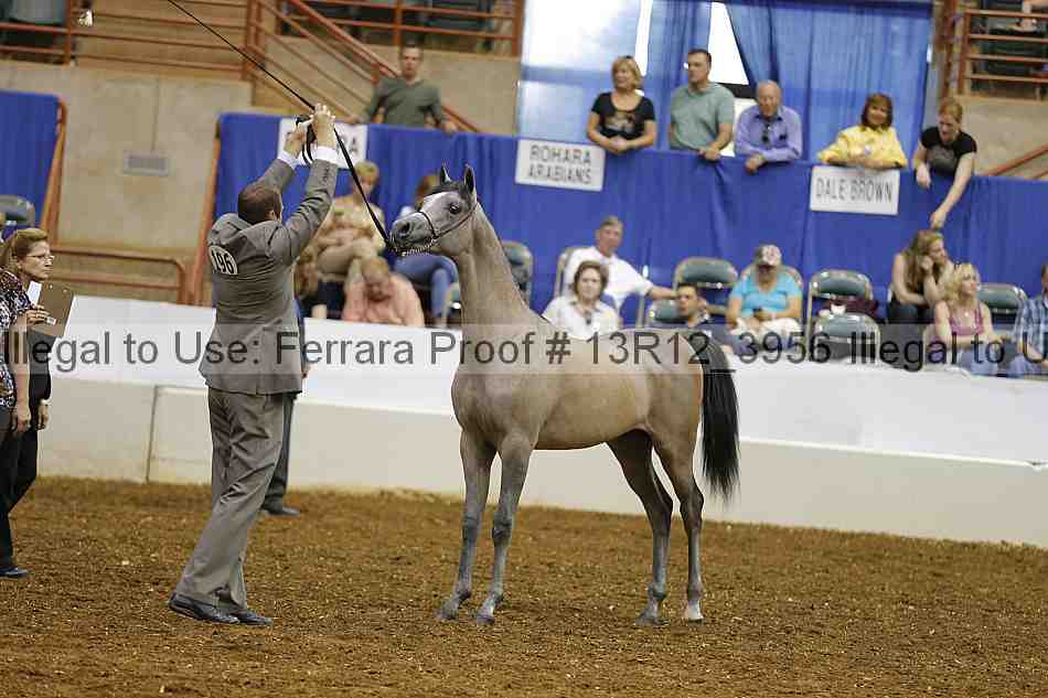 Proof Number 13r12_3956