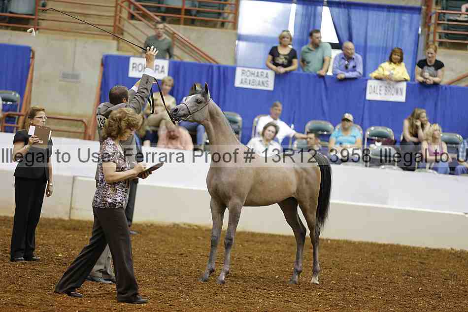 Proof Number 13r12_3958