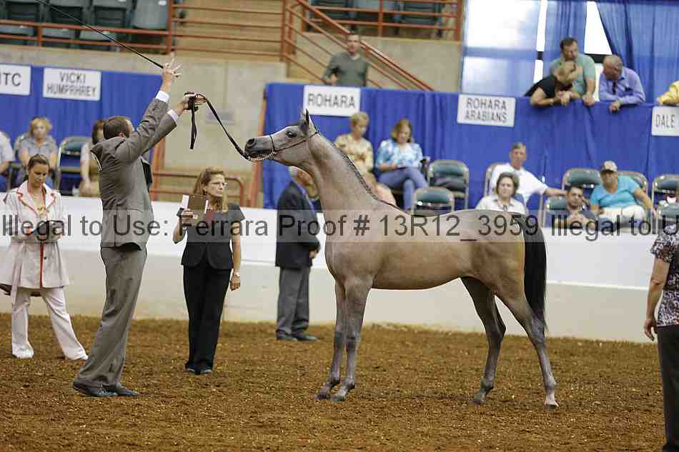 Proof Number 13r12_3959