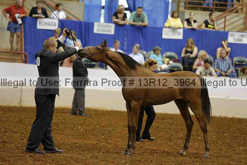 Proof Number 13r12_3964