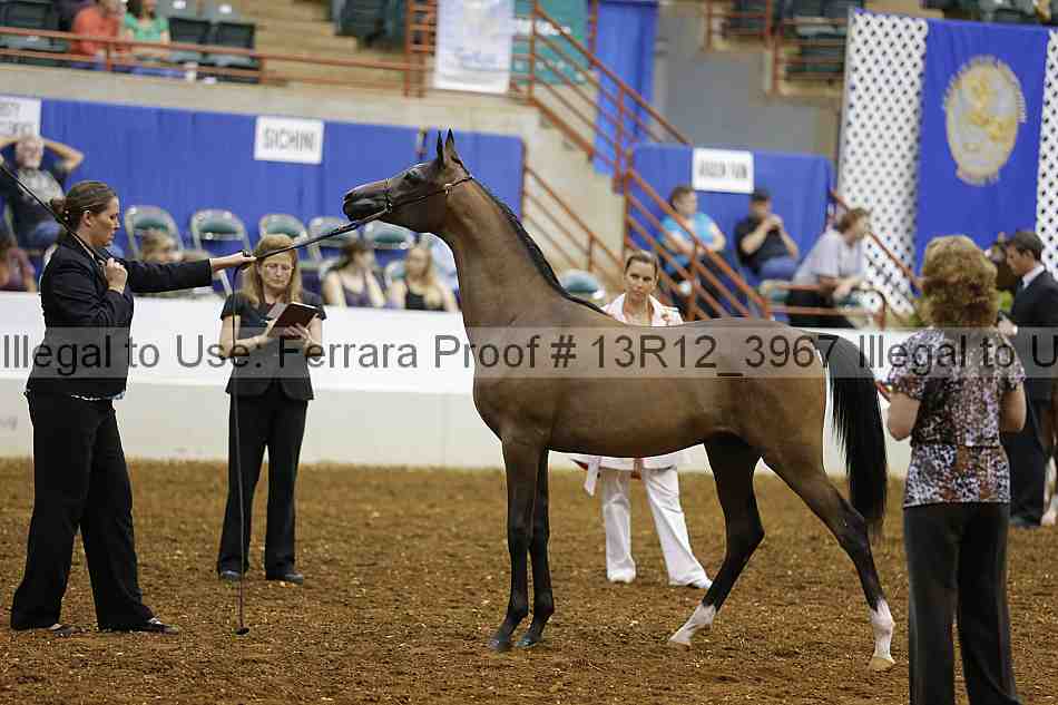 Proof Number 13r12_3967
