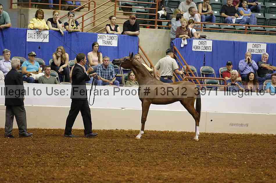 Proof Number 13r12_3971