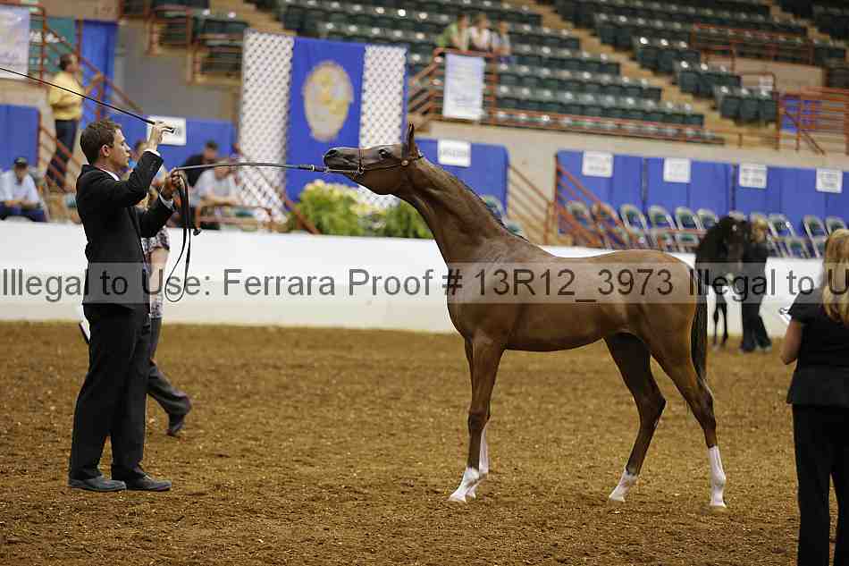 Proof Number 13r12_3973