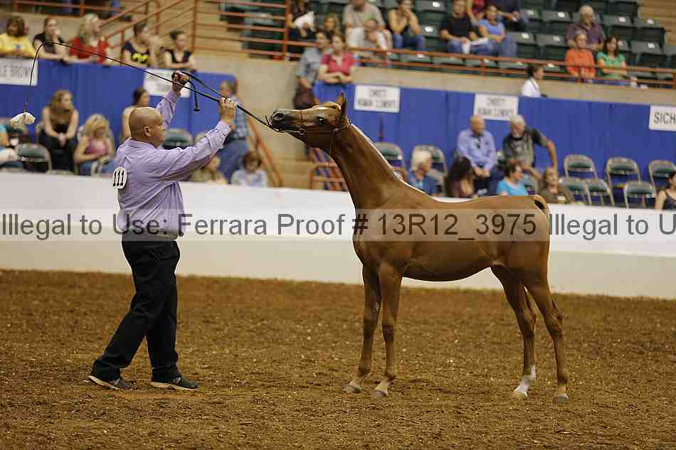 Proof Number 13r12_3975