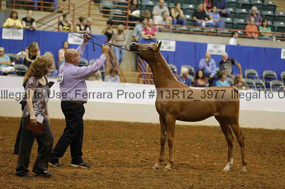 Proof Number 13r12_3977