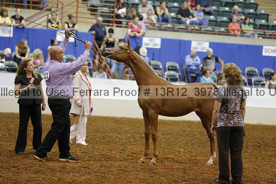 Proof Number 13r12_3978