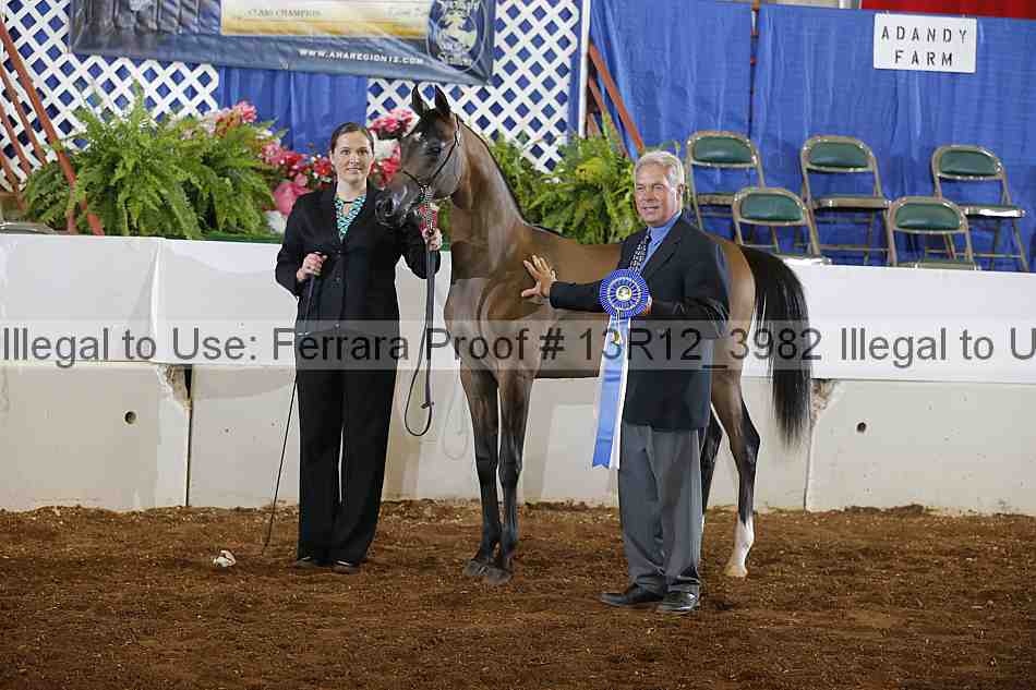 Proof Number 13r12_3982