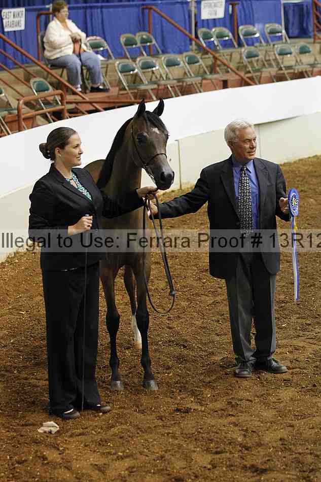 Proof Number 13r12_3983