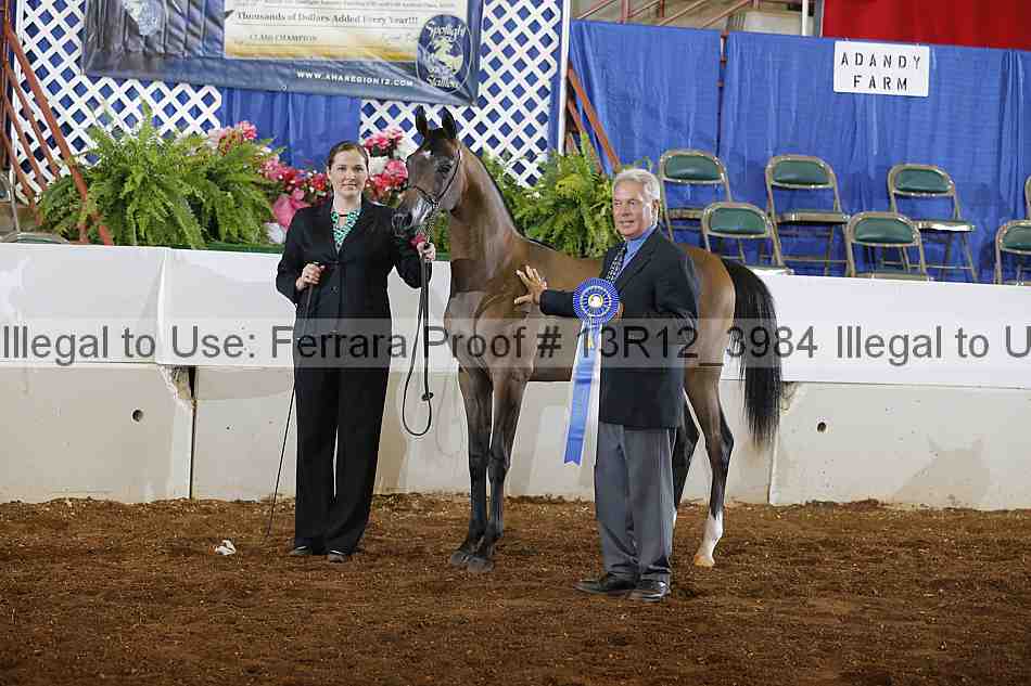 Proof Number 13r12_3984