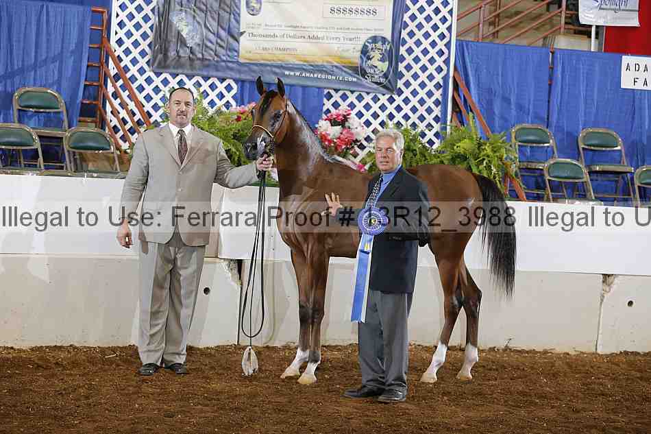 Proof Number 13r12_3988