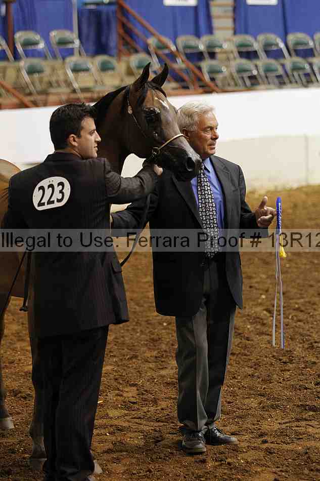 Proof Number 13r12_3992