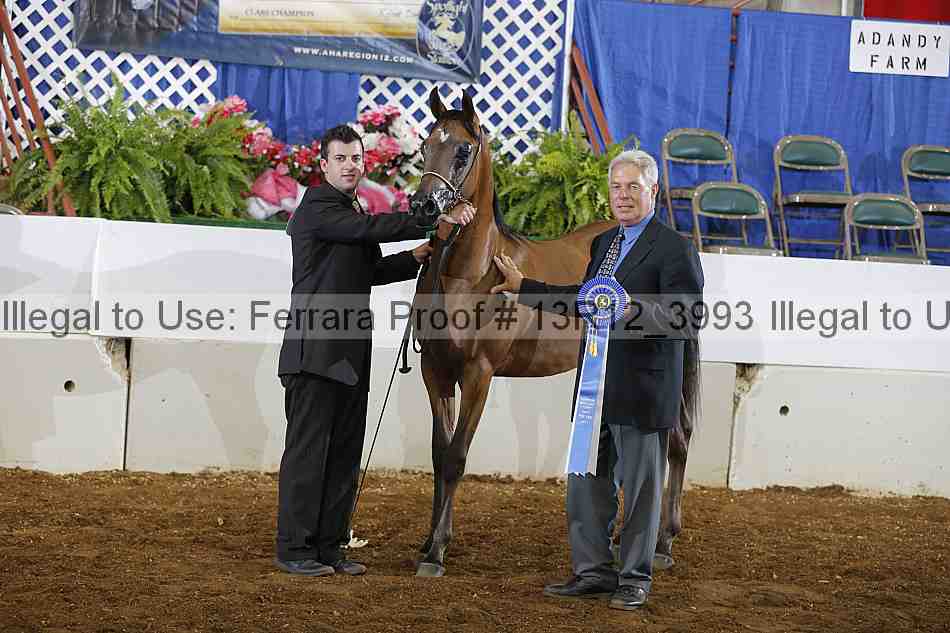 Proof Number 13r12_3993