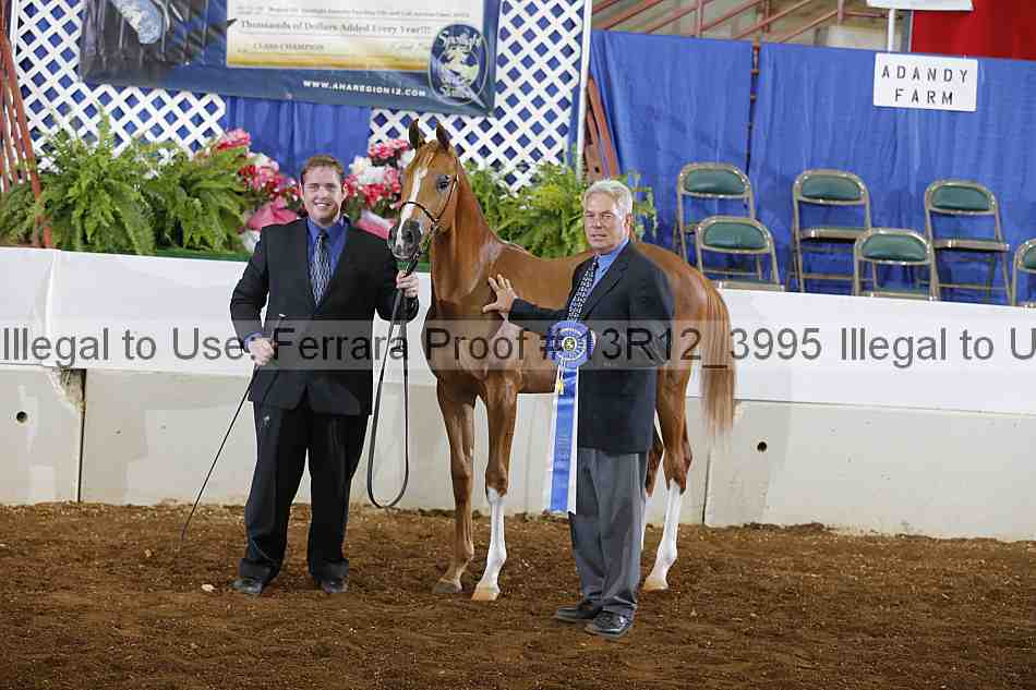 Proof Number 13r12_3995