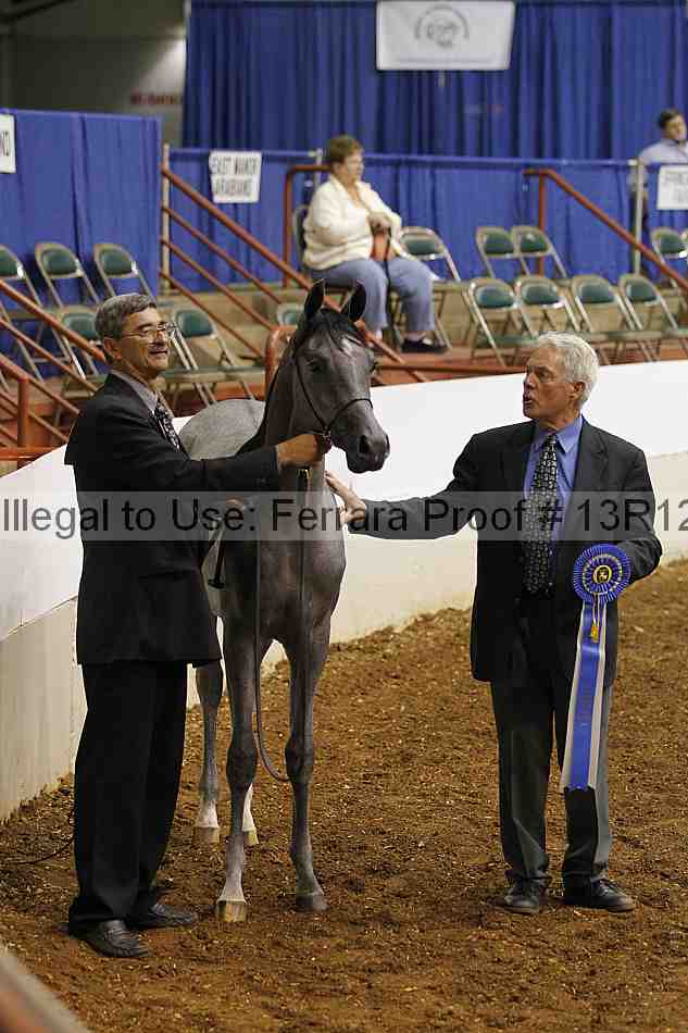 Proof Number 13r12_4002