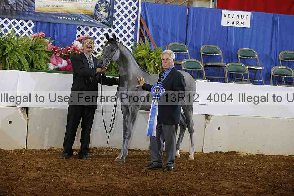 Proof Number 13r12_4004