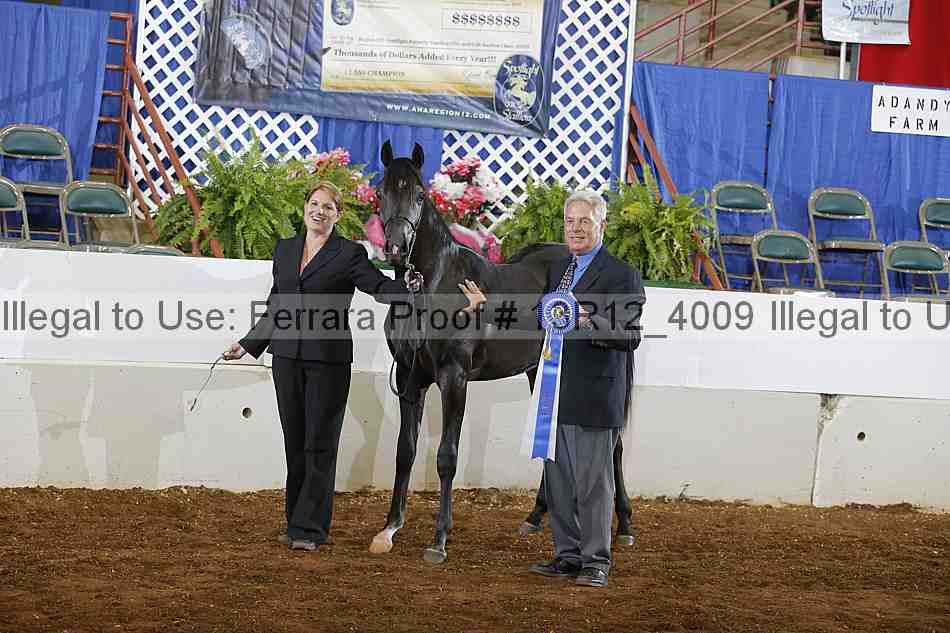 Proof Number 13r12_4009