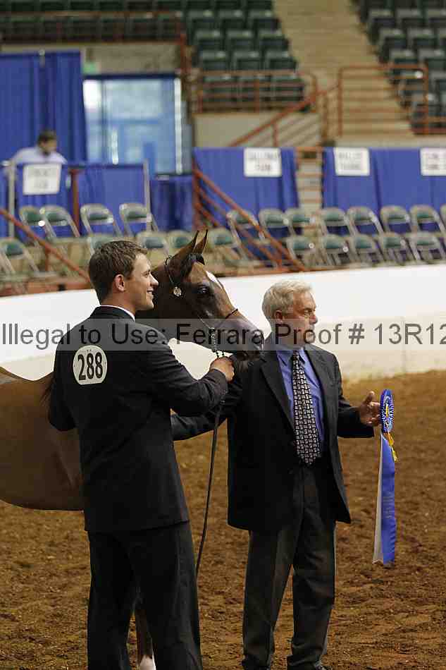 Proof Number 13r12_4012