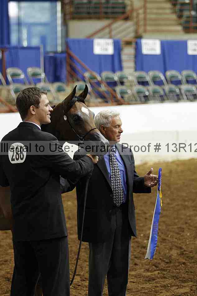 Proof Number 13r12_4014