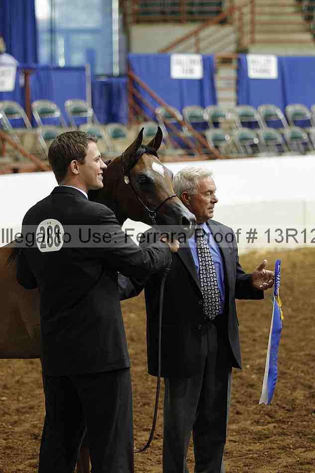 Proof Number 13r12_4016