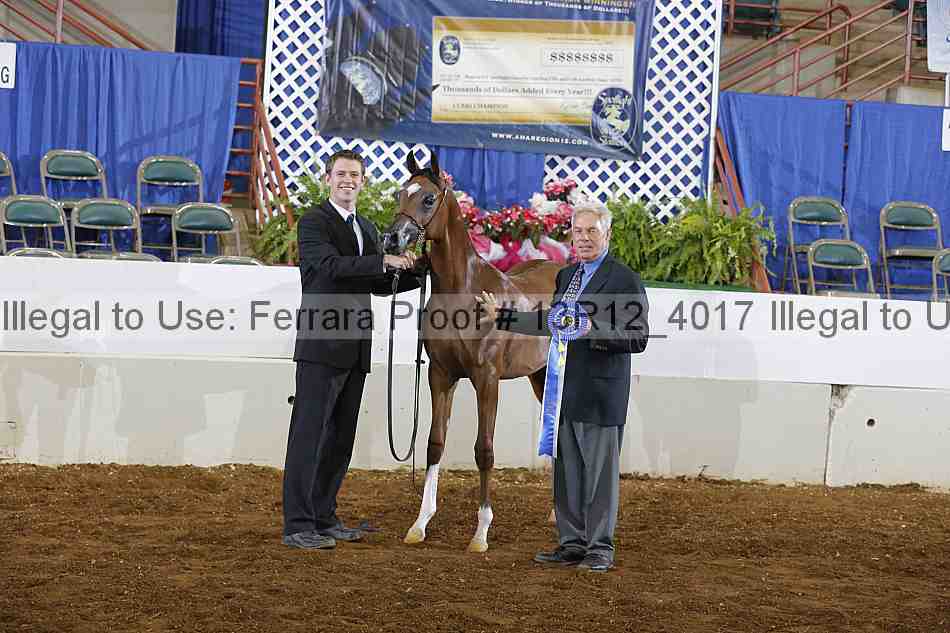 Proof Number 13r12_4017