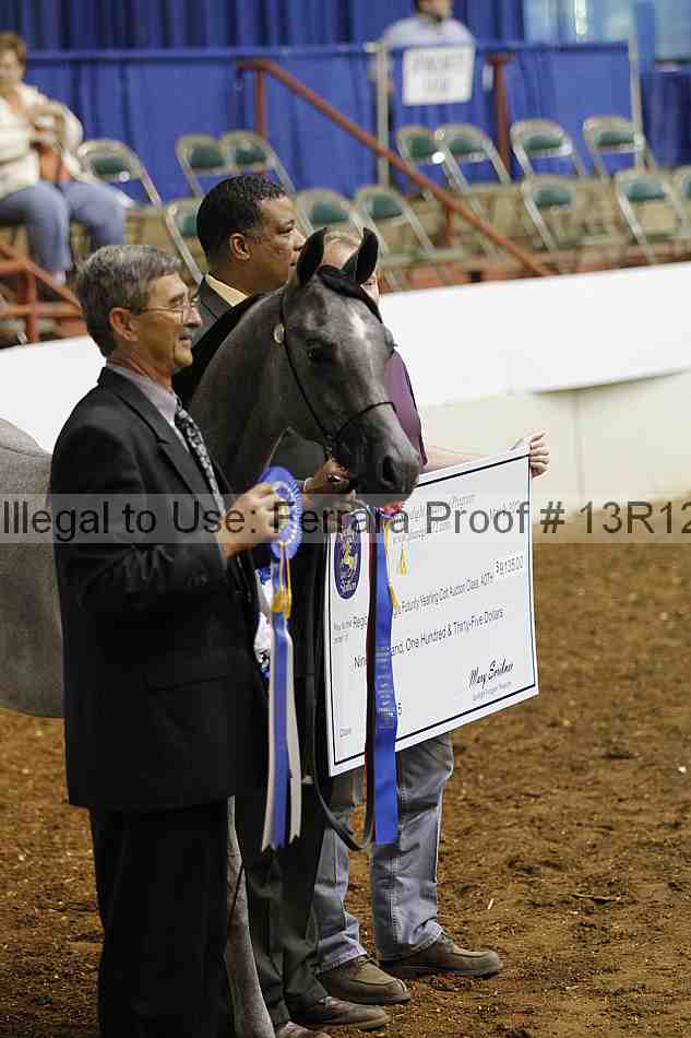 Proof Number 13r12_4024