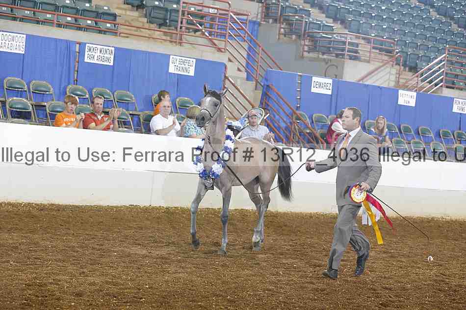 Proof Number 13r12_4036