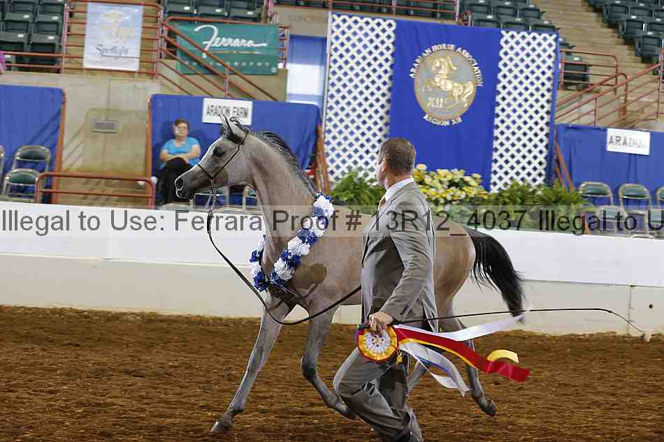 Proof Number 13r12_4037