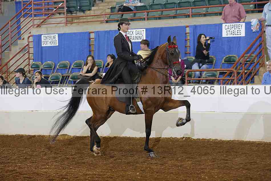 Proof Number 13r12_4065