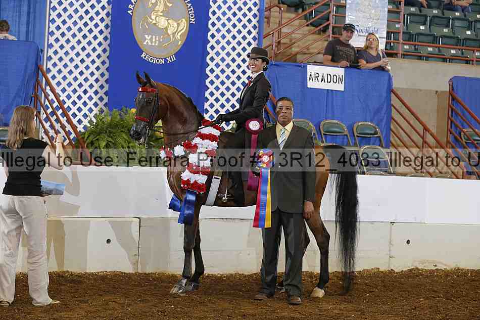 Proof Number 13r12_4083