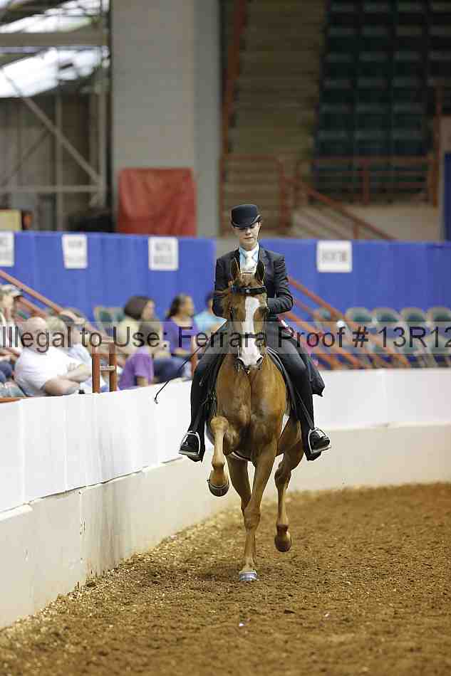 Proof Number 13r12_4091