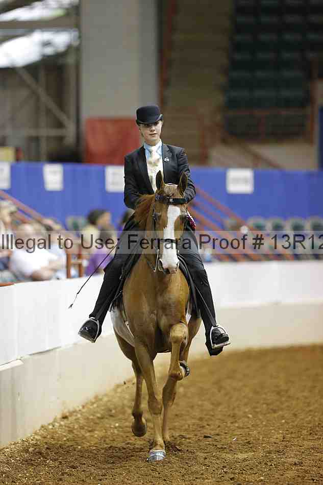 Proof Number 13r12_4094