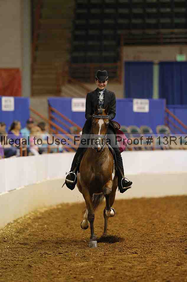 Proof Number 13r12_4096